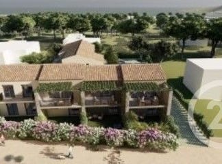 Lumio, Corsica 20260
