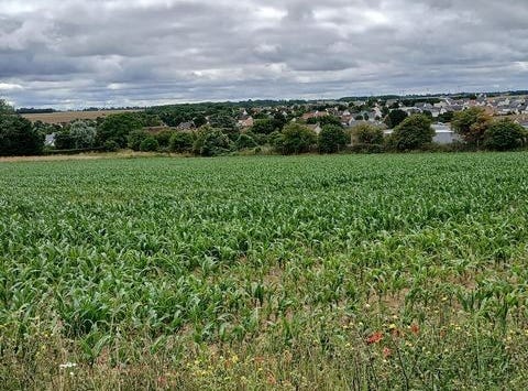 Thaon, Basse-Normandie 14610