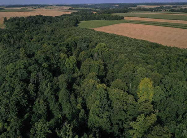 Arras, Nord-Pas-de-Calais 62000