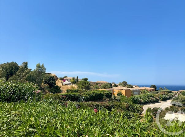 Lumio, Corsica 20260