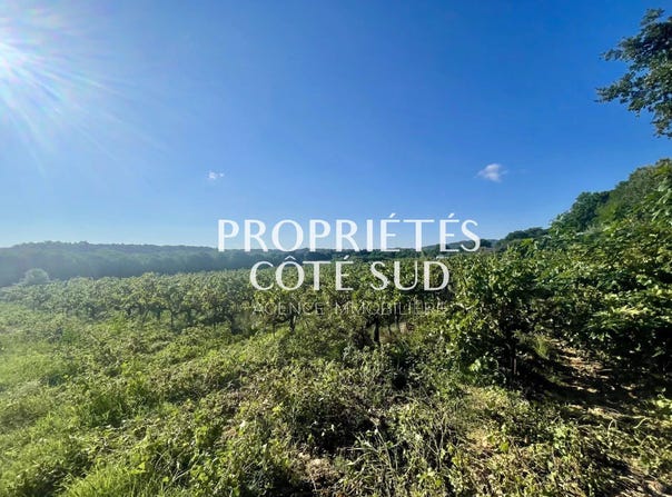 Saint-Laurent-des-Arbres, Languedoc-Roussillon 30126