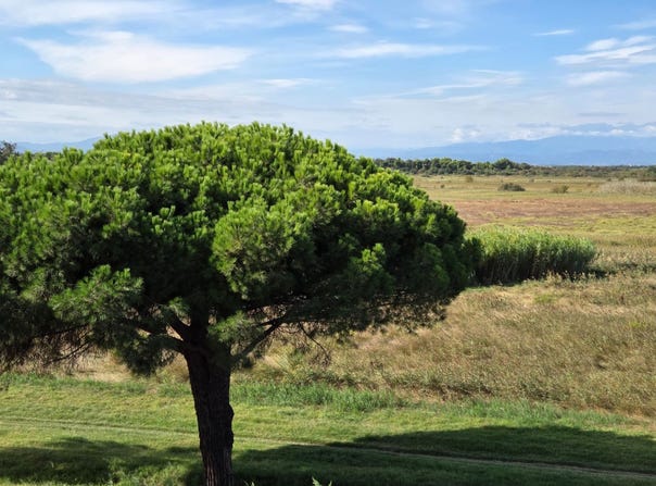 Canet-en-Roussillon, Languedoc-Roussillon 66140