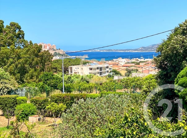 Calvi, Corsica 20260
