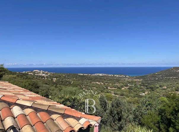L'Île-Rousse, Corsica 20220