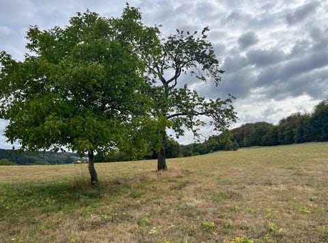Le Val-d'Ajol, Lorraine 88340