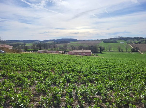 PUYCASQUIER, Occitanie 32120