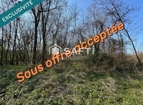 Tavers, Centre 45190