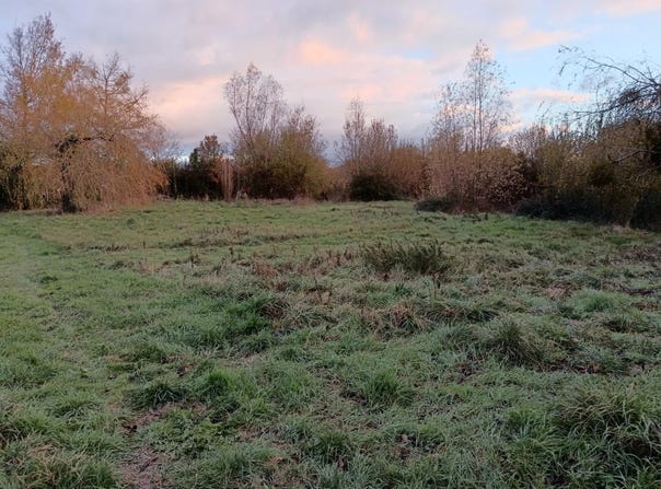 Nueil-les-Aubiers, Deux-Sèvres 79250