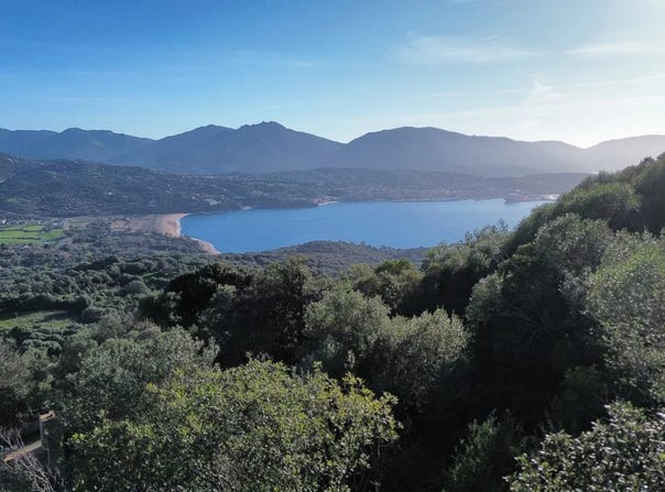 Olmeto, Corse-du-Sud 20113