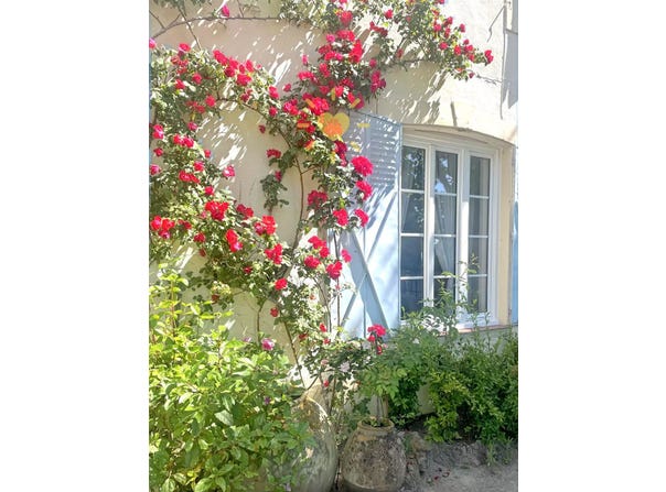 Bargemon, Provence-Alpes-Côte d'Azur 83830