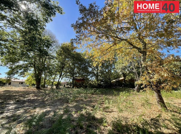 Sanguinet, Aquitaine 40460