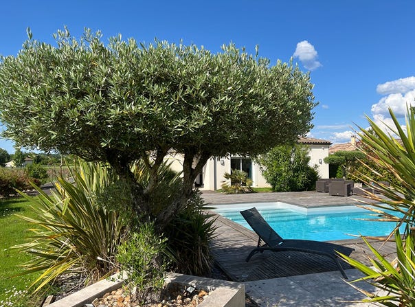 saint-magne-de-castillon, Nouvelle-Aquitaine 33350