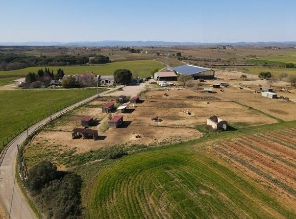 Servian, Languedoc-Roussillon 34290