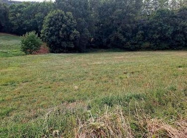 Payrin-Augmontel, Midi-Pyrénées 81660