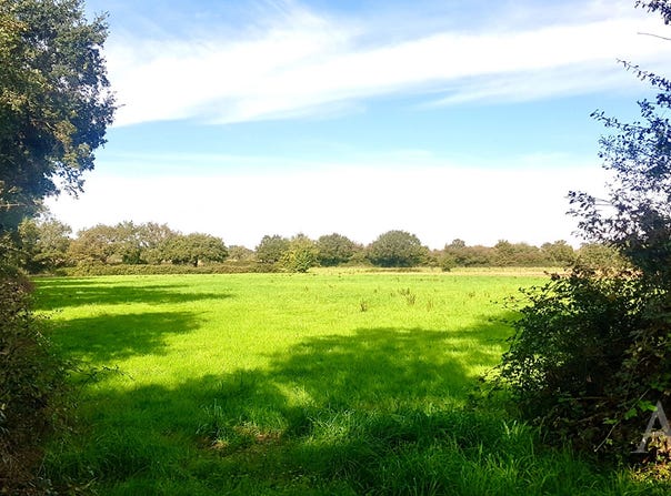 MONTAIGU VENDEE, Pays de la Loire 85600