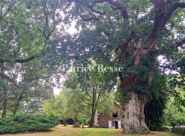 Ploërmel, Brittany 56800