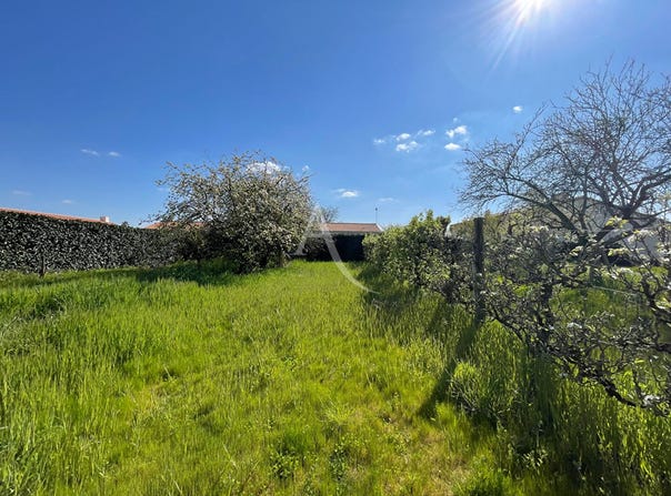 COMMEQUIERS, Pays de la Loire 85220