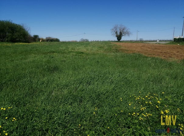 Rauzan, Gironde 33420