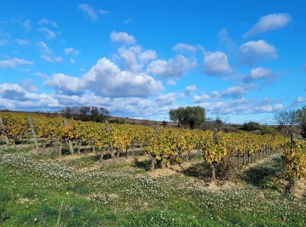 Autignac, Languedoc-Roussillon 34480