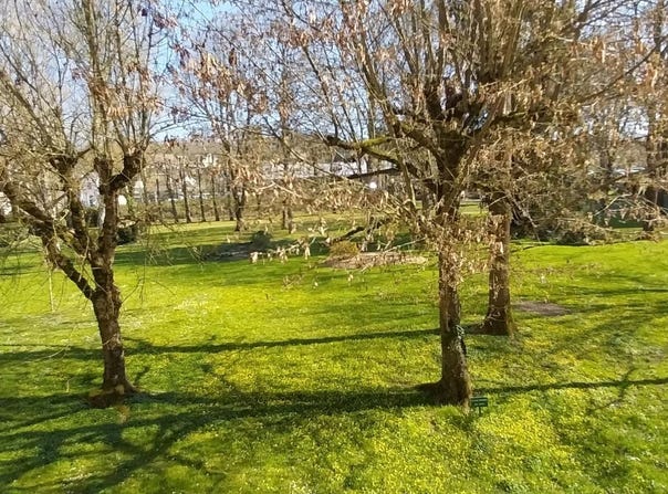 Épernon, Eure-et-Loir 28230