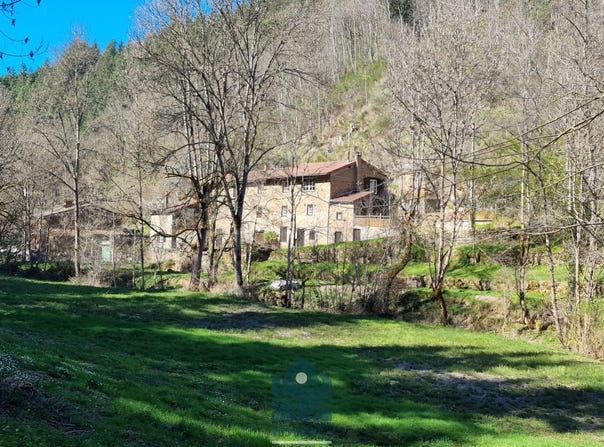 Ambert, Auvergne 63600