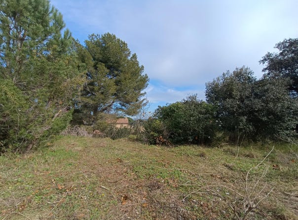 Saint-André-de-Sangonis, Languedoc-Roussillon 34725