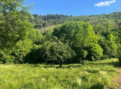 Saumane, Languedoc-Roussillon 30125