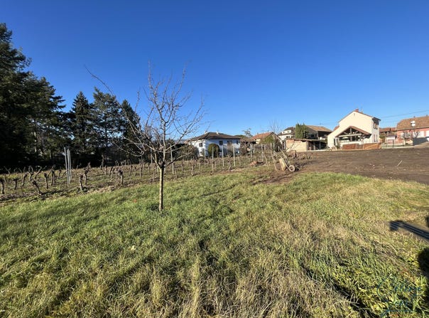 Wintzenheim, Alsace 68920