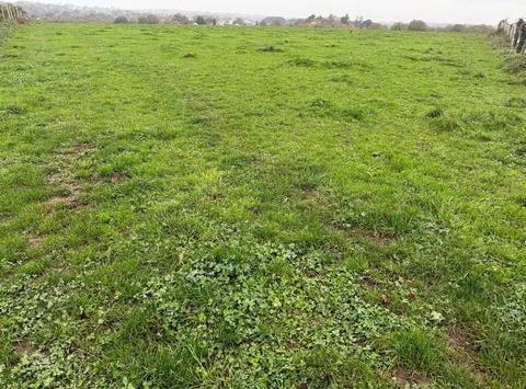 Cande, Pays de la Loire 49440