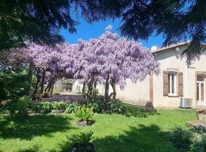Lavit, Midi-Pyrénées 82120