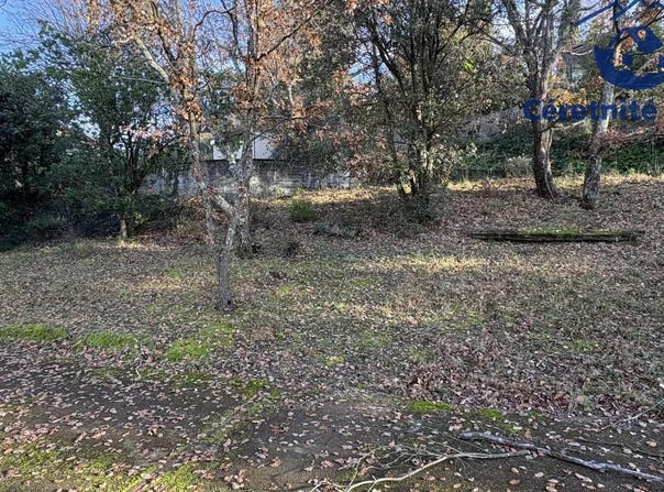 Céret, Languedoc-Roussillon 66400
