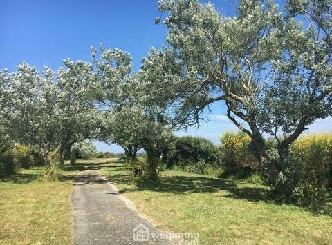 Groix, Bretagne 56590