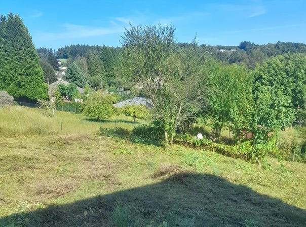Neuvic, Corrèze 19160