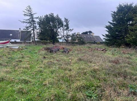 Ile-De-Batz, Bretagne 29253