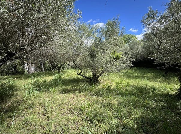 Calvisson, Gard 30420