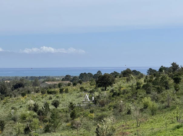 Solaro, Haute-Corse 20240