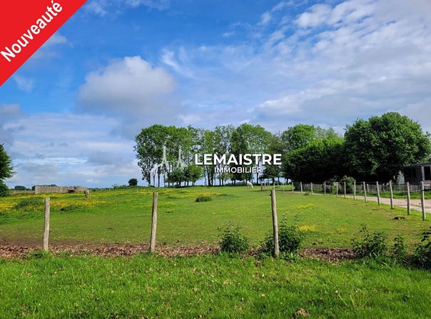 Fauville-en-Caux, Seine-Maritime 76640