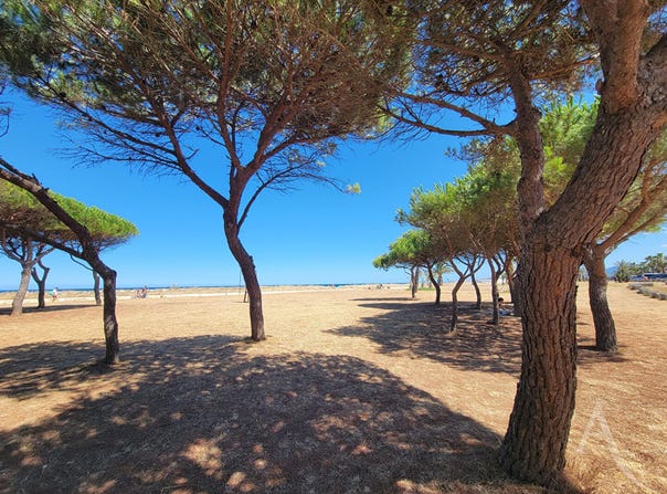 SAINT CYPRIEN, Occitanie 66750