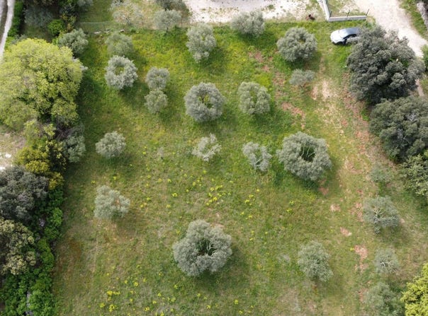 Saint-Siffret, Languedoc-Roussillon 30700