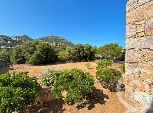 Monticello, Corsica 20220