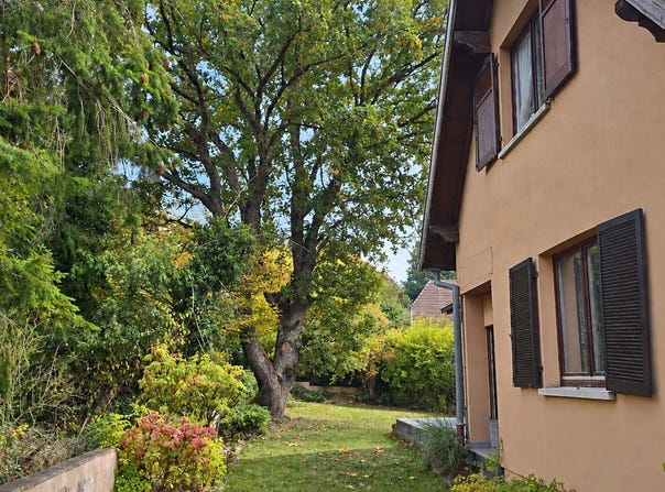 BUHL, Grand Est 68530