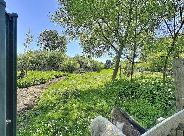 GUINES, Hauts-de-France 62340