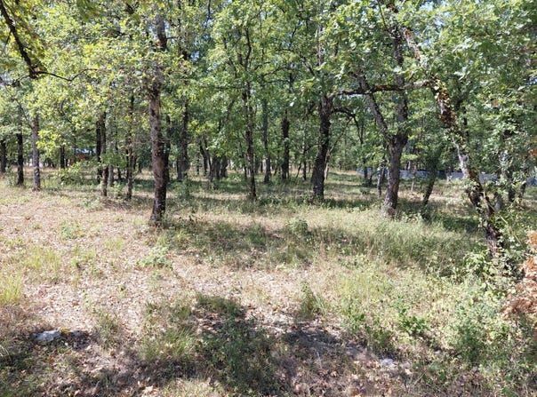 53 Chemin de la Cocardie, Montdoumerc, Lot 46230