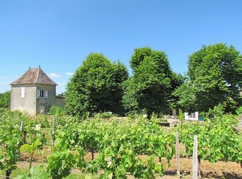 Saint-Quentin-De-Caplong, Aquitaine 33220
