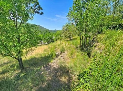 Herepian, Languedoc-Roussillon 34600