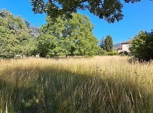 Mazamet, Midi-Pyrénées 81200
