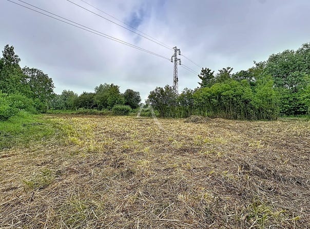 COULOGNE, Hauts-de-France 62137