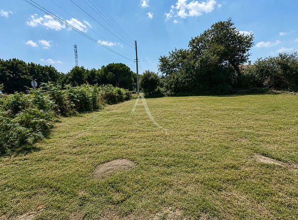 COEX, Pays de la Loire 85220