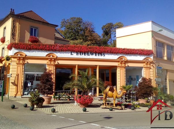 Bourbonne-les-Bains, Grand Est 52400