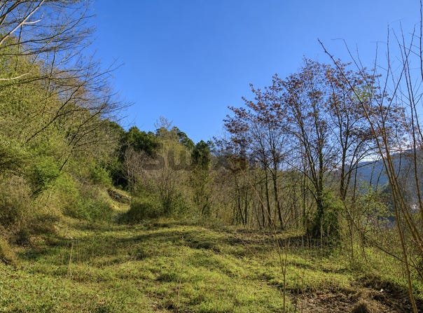 Le Collet-de-Dèze, Occitanie 48160